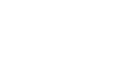 Domex
